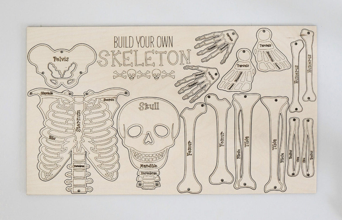 Build your own skeleton-kids craft-DIY build